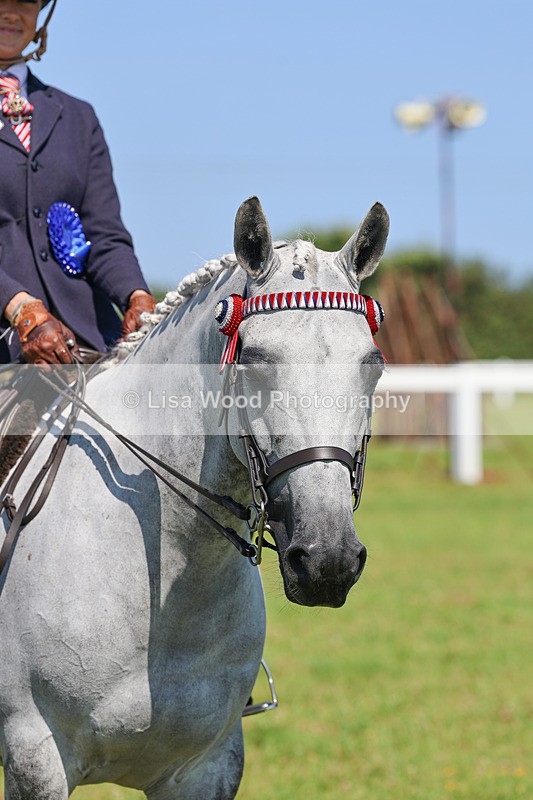 IMG_2144 - Plaited Ridden Championship
