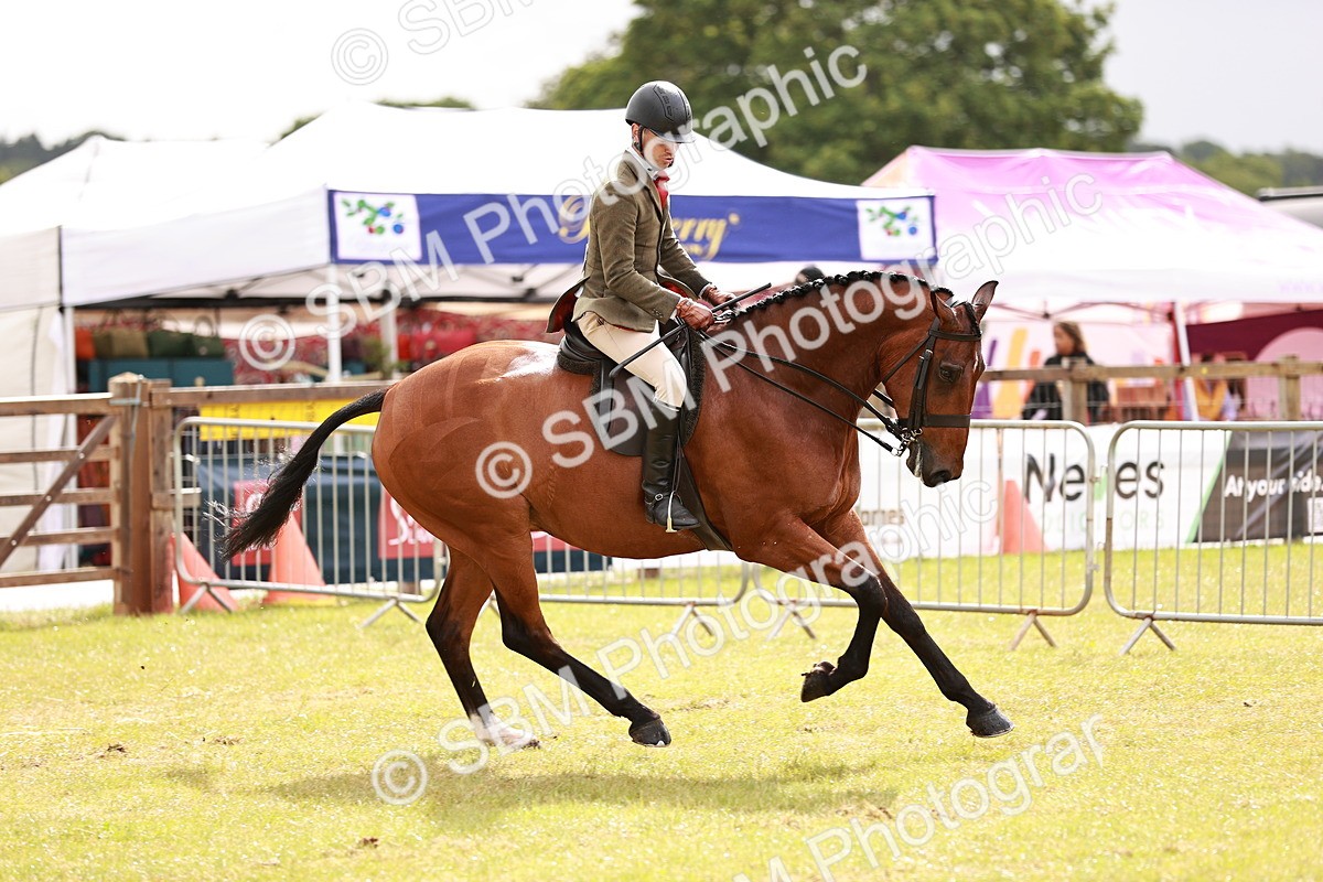 SBM_11561 - Class 81-84 - RIHS Ridden hunters Inc Ladies Hunter