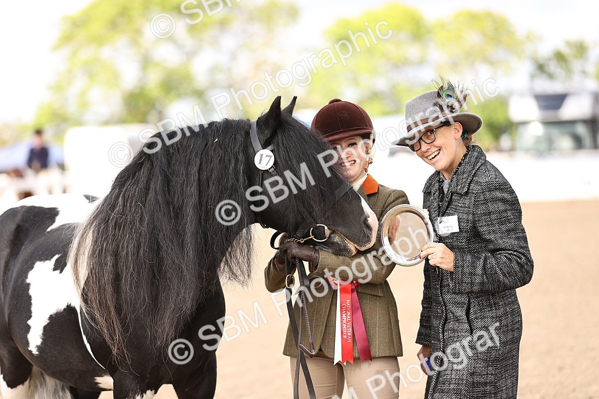 SBM_09326 - Class 404 - IH Traditional - Native Cob