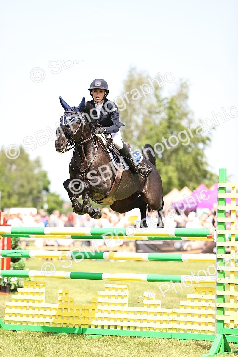 SBM_03967 - Class 201 - British Horse Feedds Speedi Beet HOYS Grade C