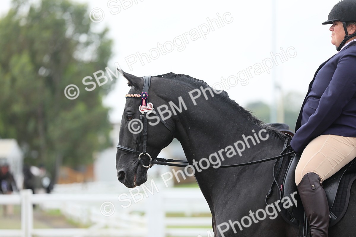 SBM_21301 - Class 805 - Ridden Veteran Horse