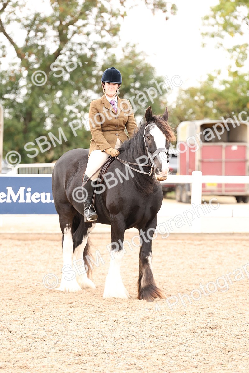 SBM_19723 - Class 216 - Ridden Traditional - Native Cob