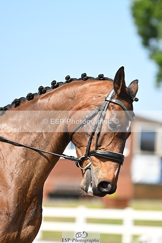 250620-155308-04448 - BD Cls 10 - Medium 5, 15.20 to End