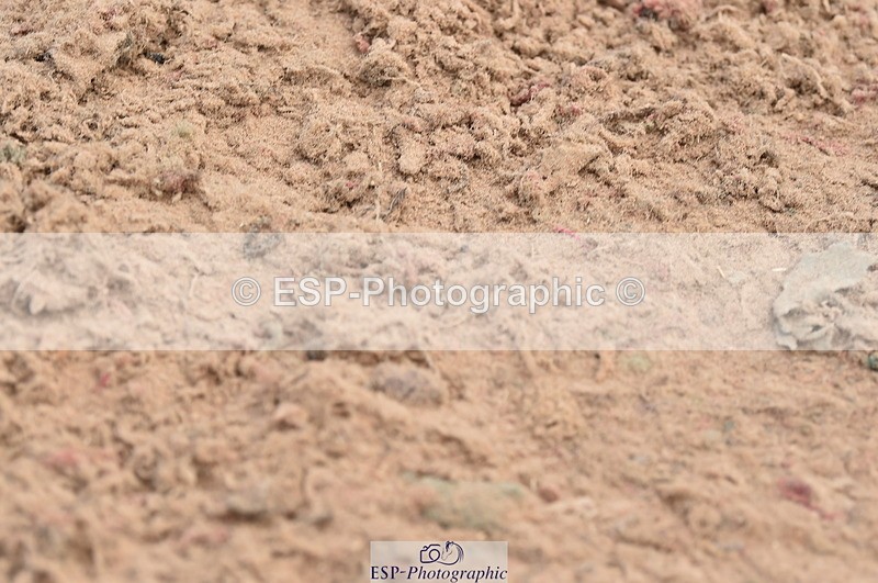 230611A-093538-04545 - Cls 31 British Novice & Open