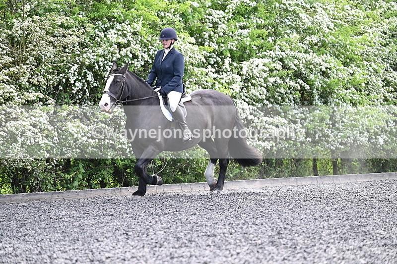 WJ7_9001 - Time 11:32 to 11:54