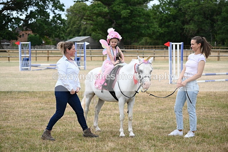 WJ6_4973 - Class 11 Fancy Dress