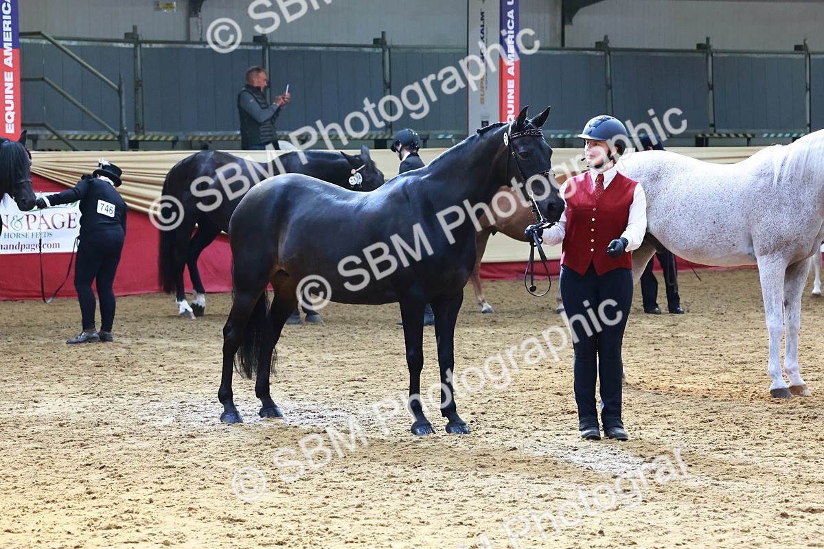 SBM_22410 - Class 902 - Supreme Final - IH Diamond