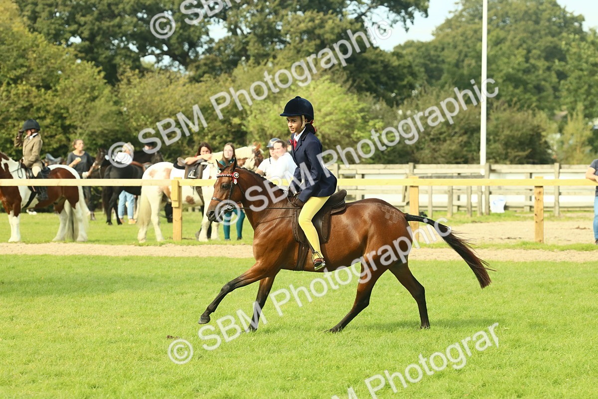 SBM_68102 - S57 - Part Bred Pony Ridden