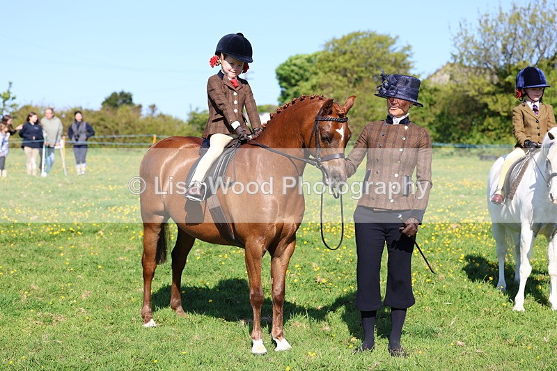 3E7A8930 - Class 2: Lead rein