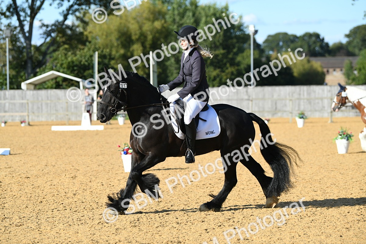 SBM_28470 - D16 - Small Tour Championship - Novice 28