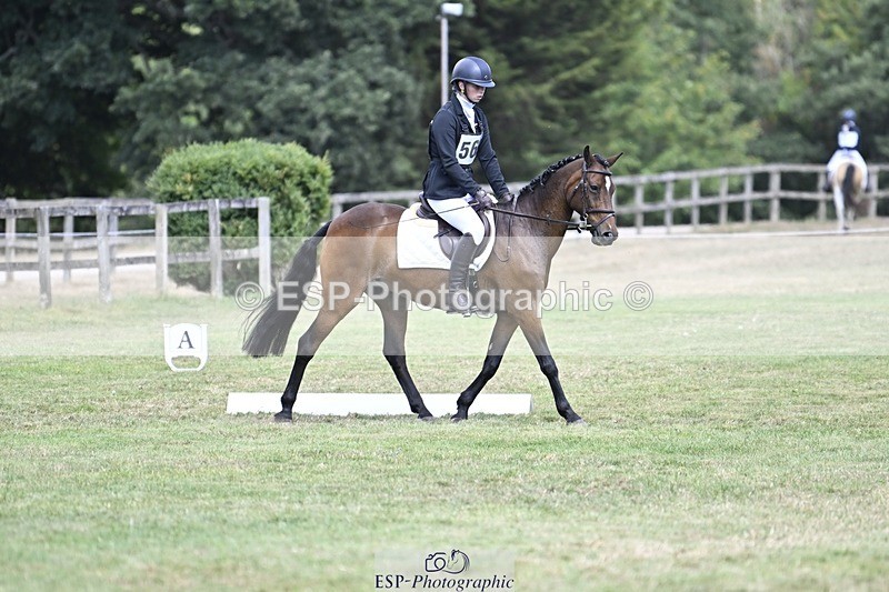 250822A-120523-22546 - DR 11.00 to 12.00