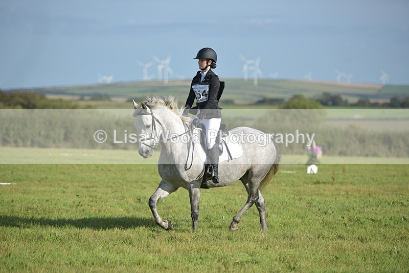RAY_7357 - Class 2B: Trekenning Open: Dressage