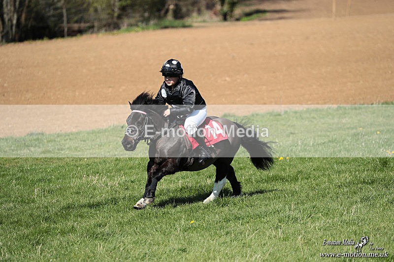 Shet 060426 310 - Shetland Pony Racing Paxford Races Easter Mon 06/04/26