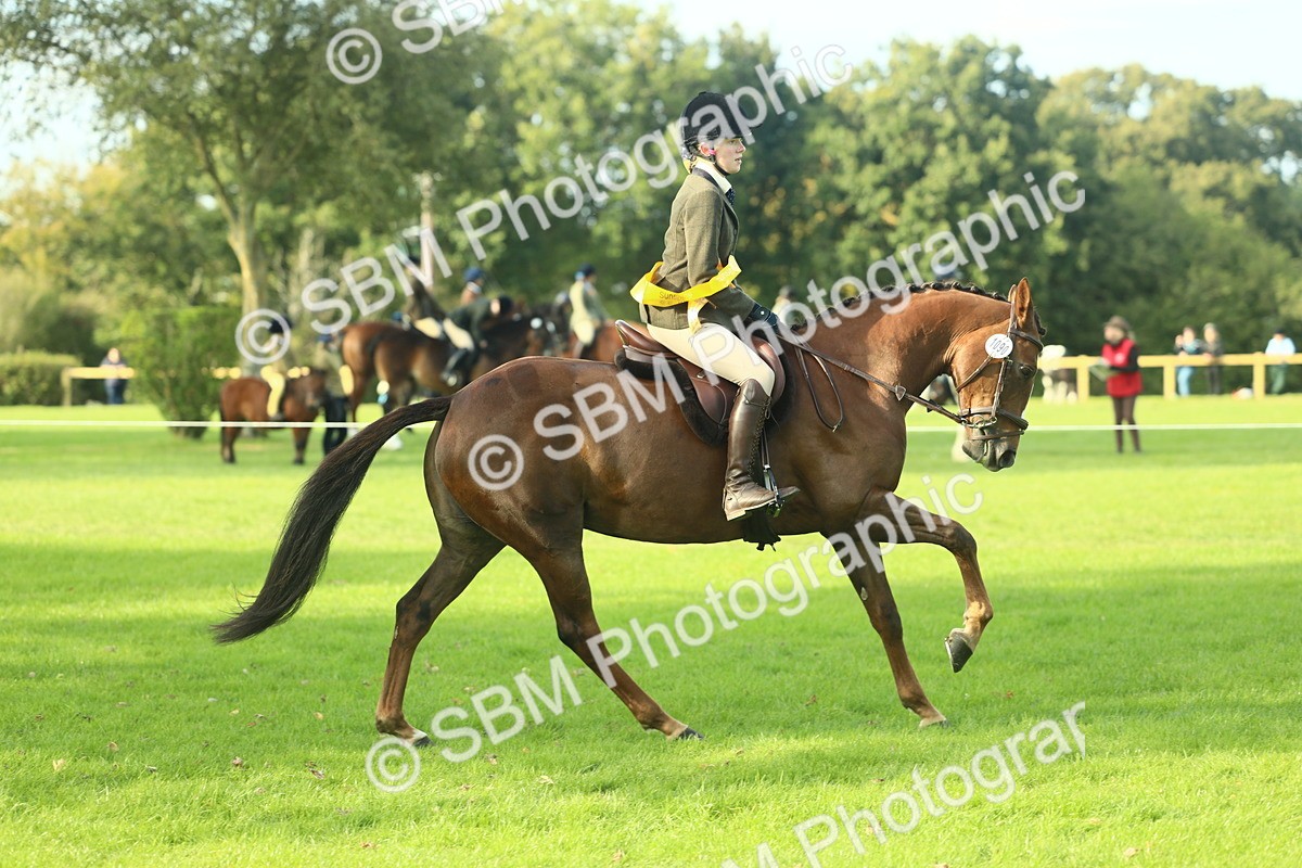 SBM_52280 - Working Hunter Supreme Championship