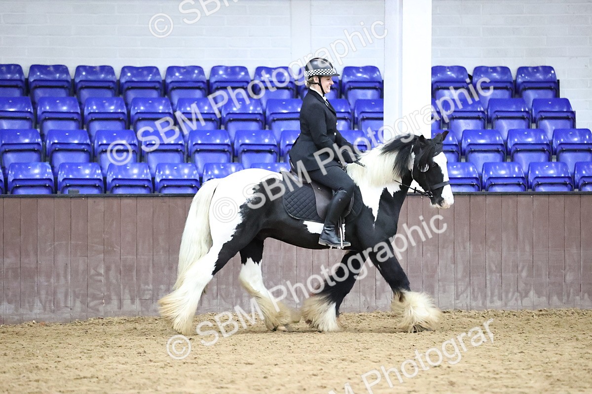 SBM_6378 - Class 45-42 - Ridden Irish Breeds-Ridden Cob