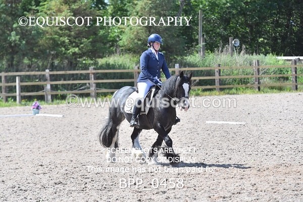 BPP_0458 - MFS NOVICE