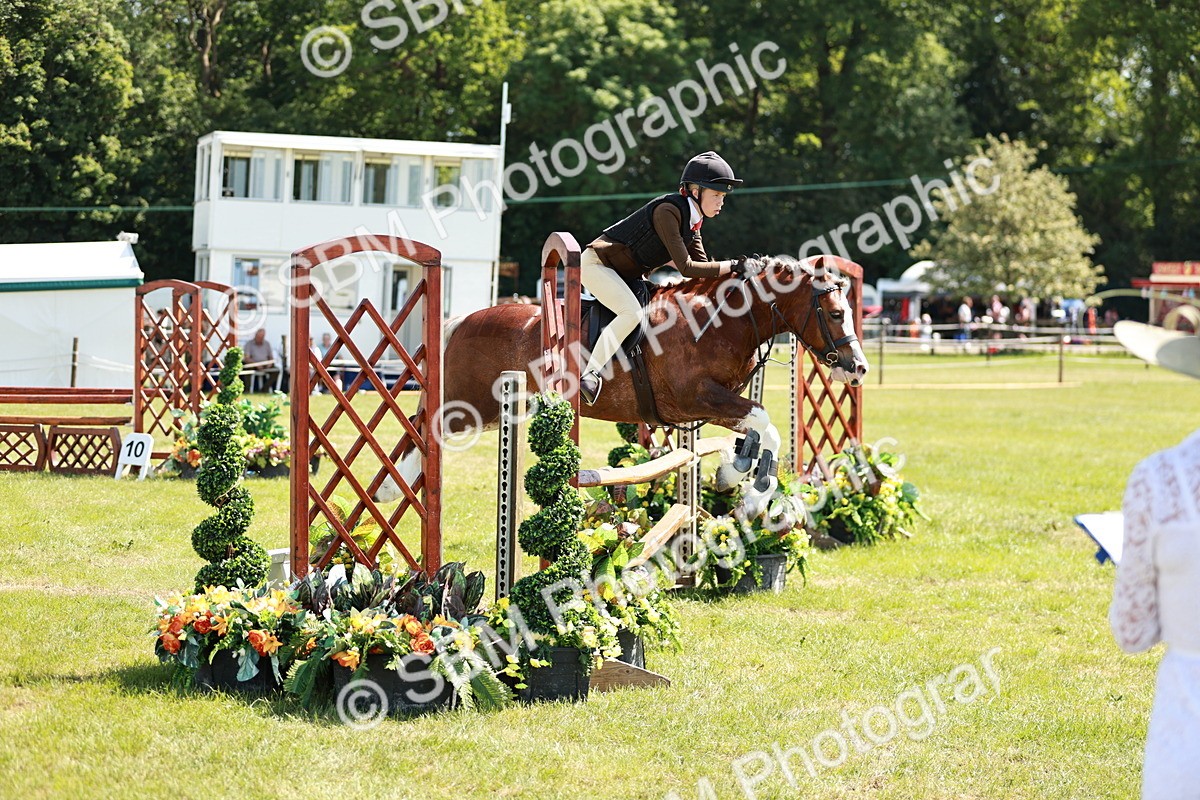SBM_17628 - Class 112-113 - BSPS LIHS Working Sports Pony