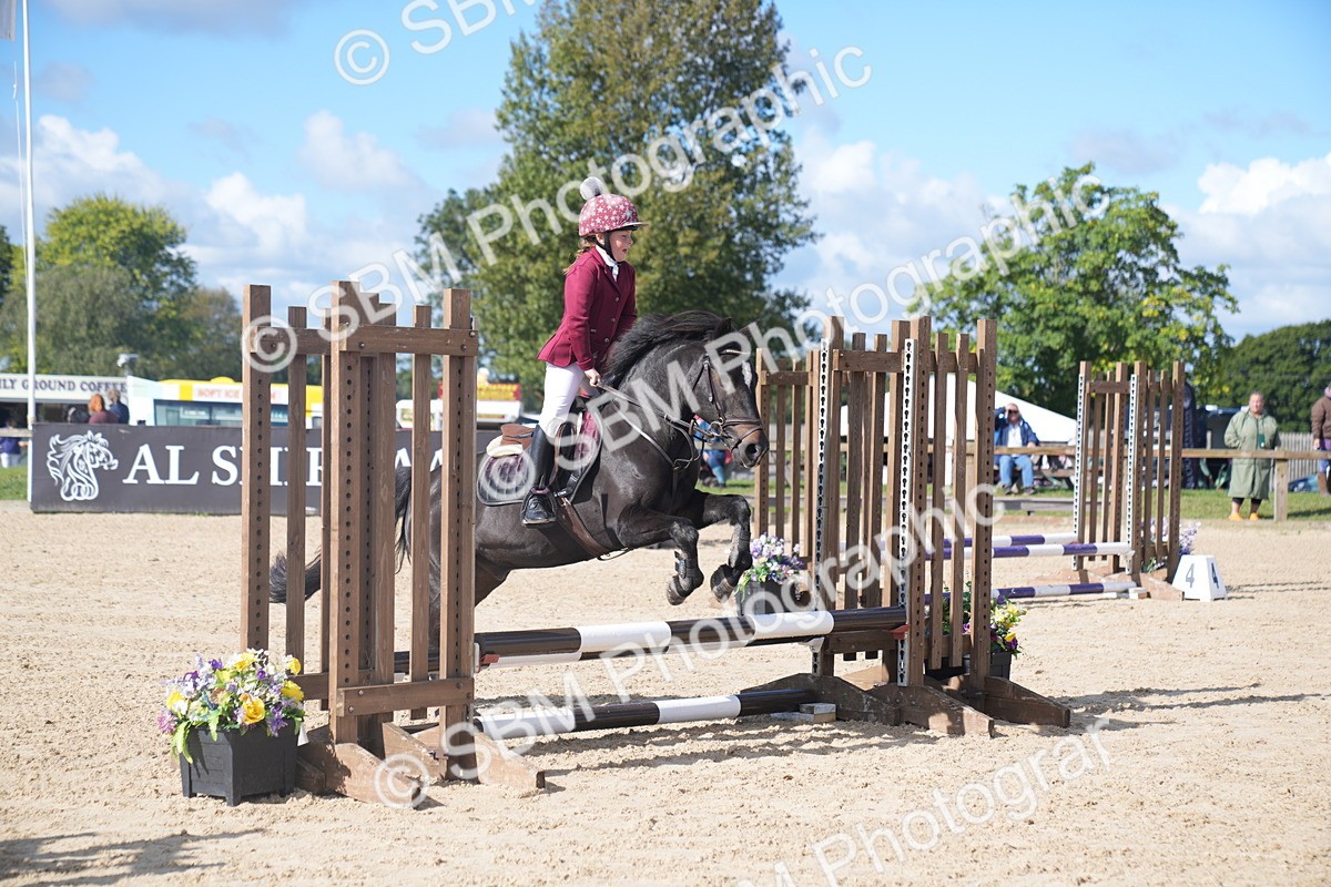 SBM_02444 - J54 Clear Round 45cm