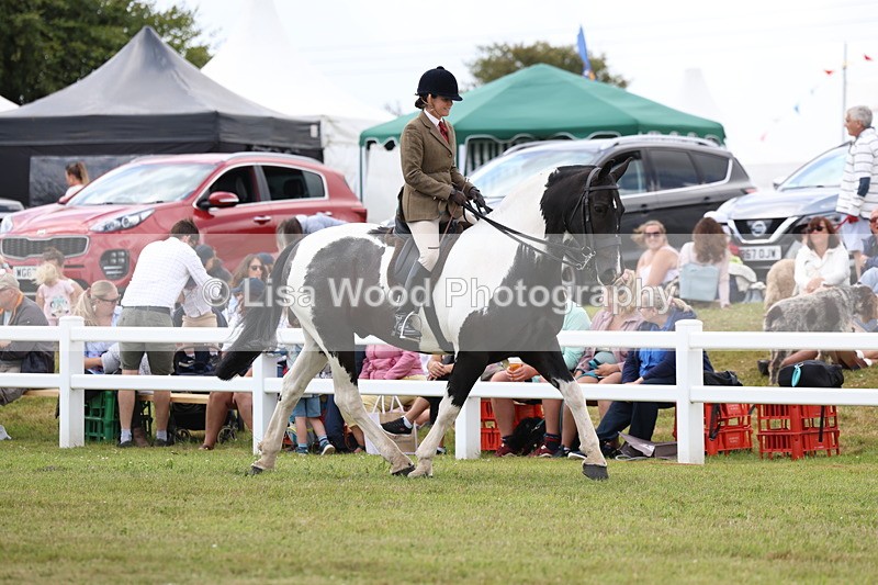 3E7A1848 - Class 10: Open Cob