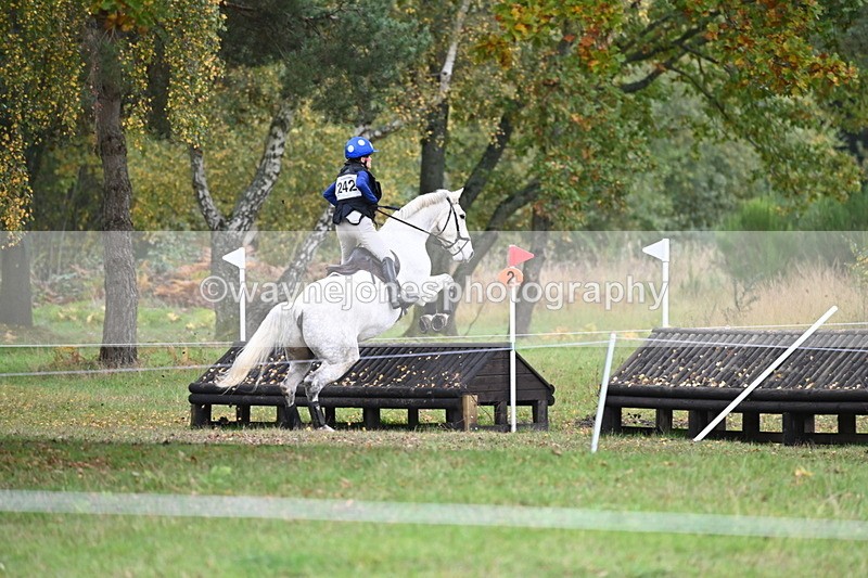 WJ6_4098 - 90cm Cam 1 Time 14:05 to 14:35