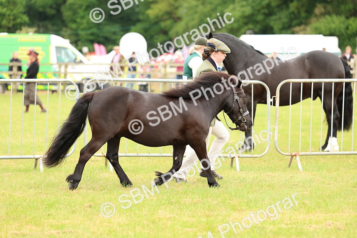 SBM_03508 - Class 58-67 - M&M Non Welsh Pony In hand