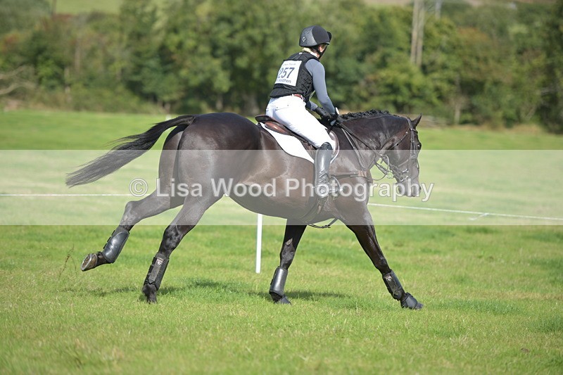 RAY_8763 - Class 2: Trekenning Open: Wall