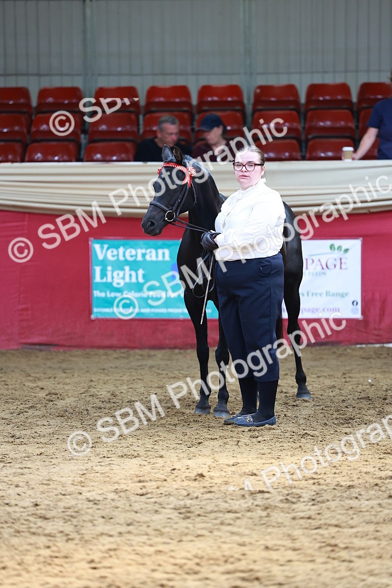 SBM_18633 - Class 903 - Sup Final - IH Pre Vet