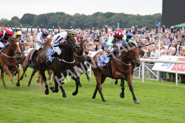 yr24072021r1-73 - Race 1 2.05pm Sky Bet Jump Jockeys Nunthorpe