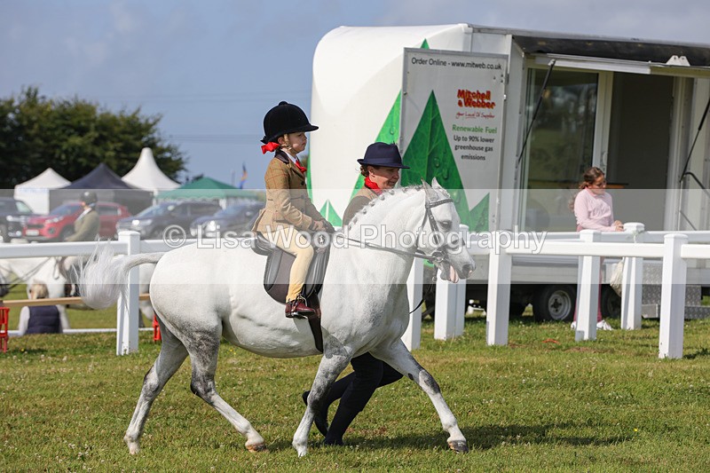 1X9A3590 - Class 29: Lead Rein SP/SHP