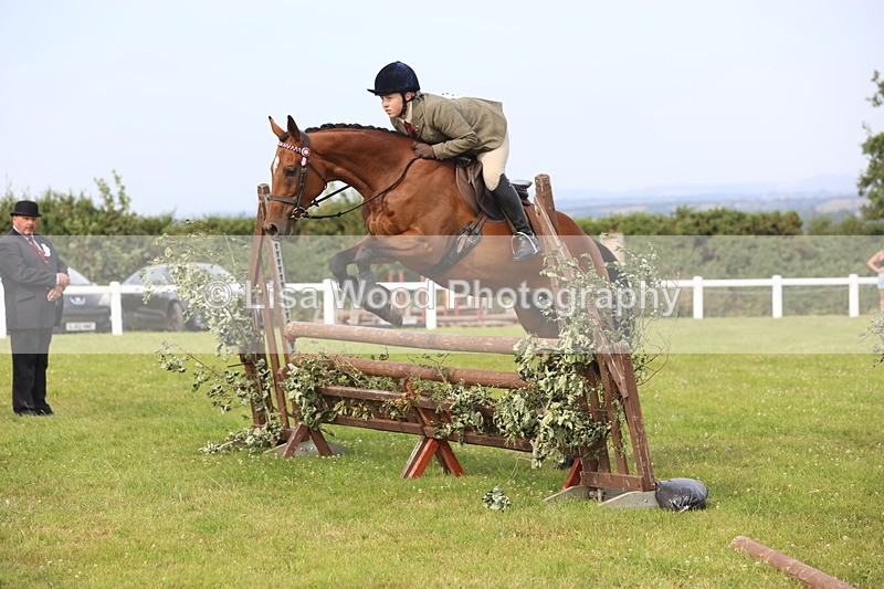 JPP_4202 - Class 25: Working Show Horse