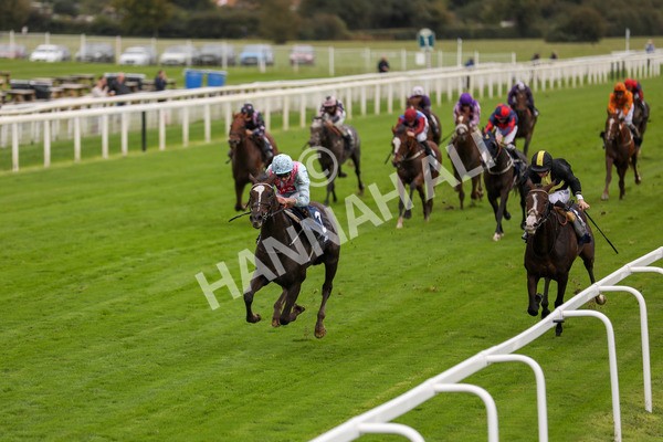 131023-Race 2-Lordship-9745 - Race 2 2.40pm William Hill Finale Handicap