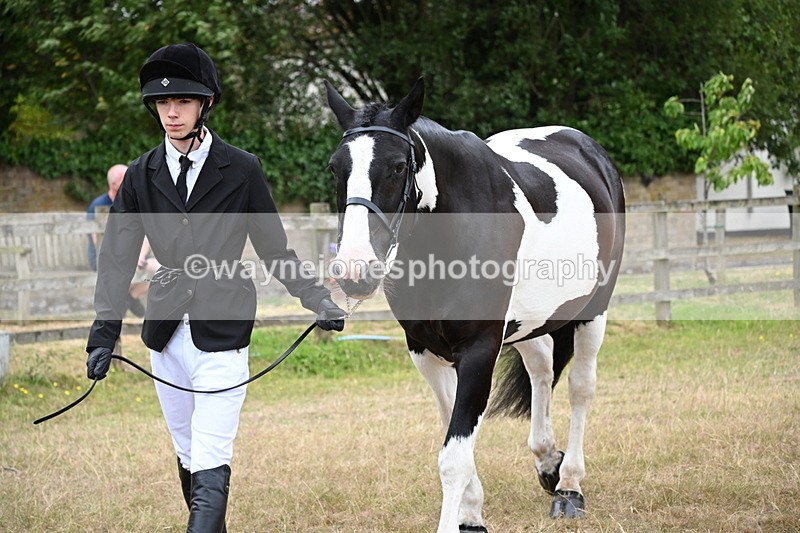 WJ6_8017 - Class 10 Coloured in Hand