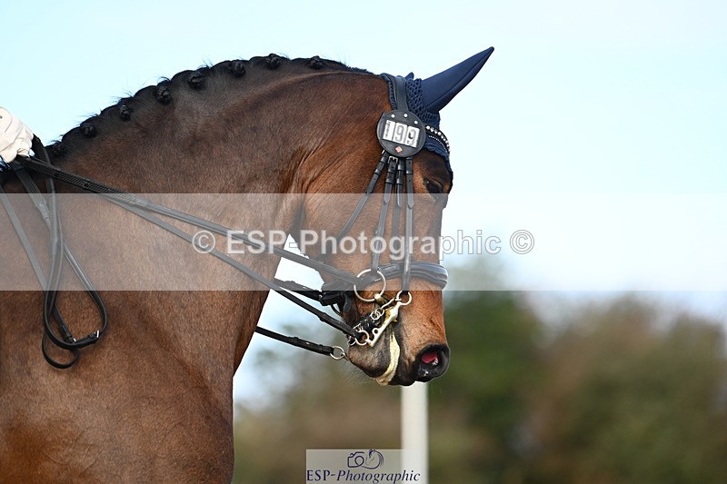 240218A-111156-06157 - 199-Nicola.Buchanan-St.Giles.flamboyant