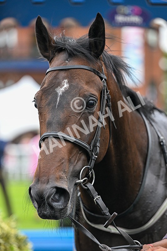 030726-Race 3-Im Next-1128 - Race 3 19.02pm Belazu, Part Of The William Jackson Food Group Handicap