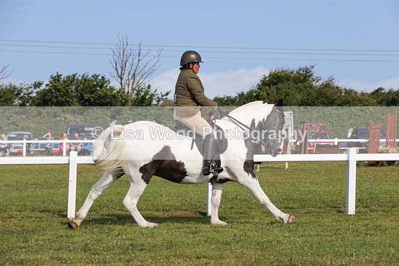 1X9A3339 - Class 28: Ridden Native/Trad Coloured Pony
