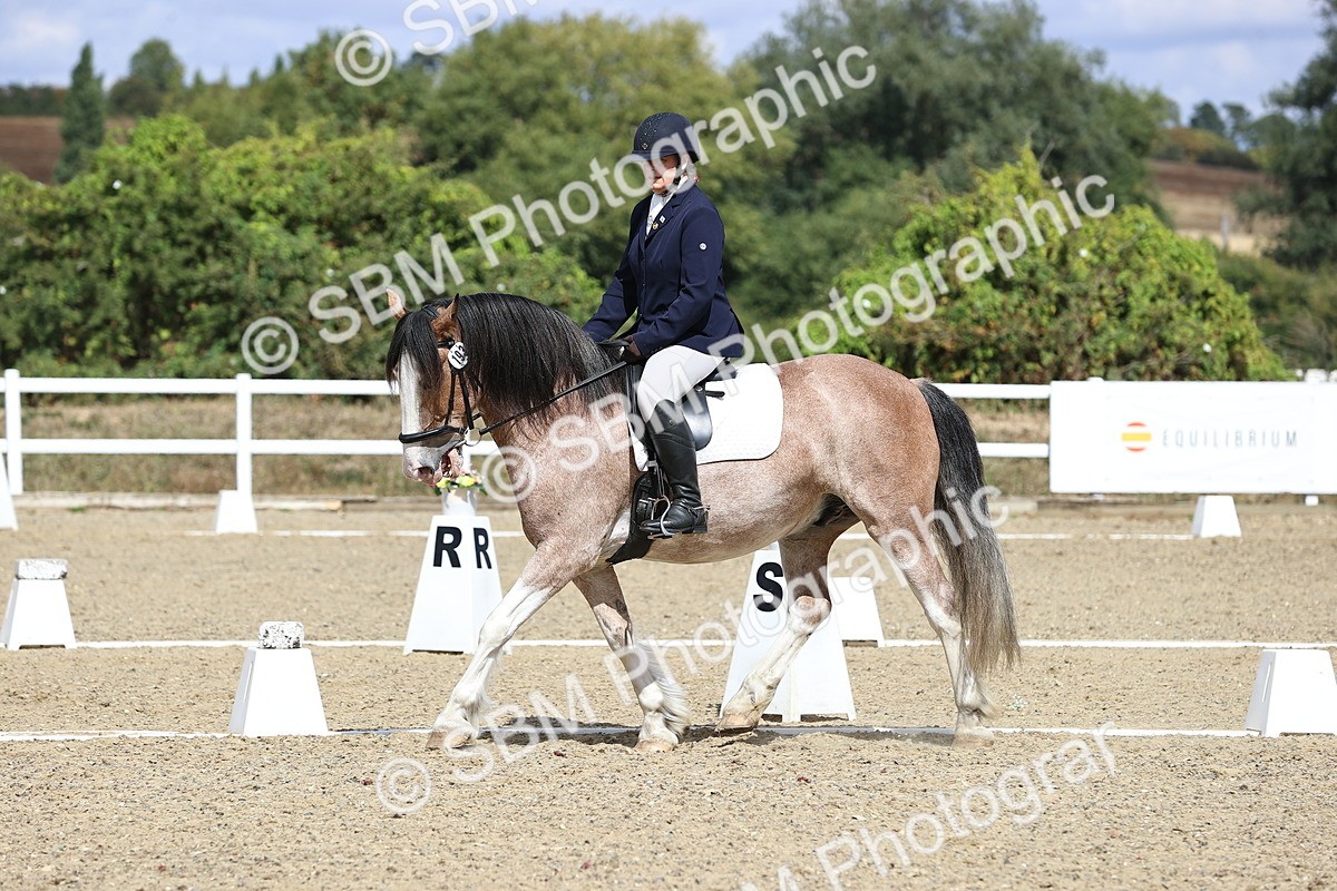 SBM_014562 - Class 5 - E5 Bronze 13.30.14.18