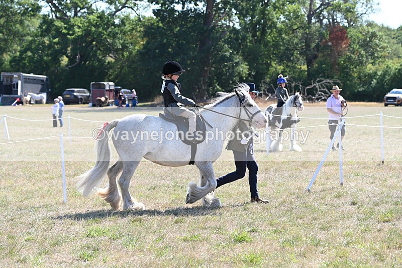 WJ6_7819 - Class 36 Lead Rein