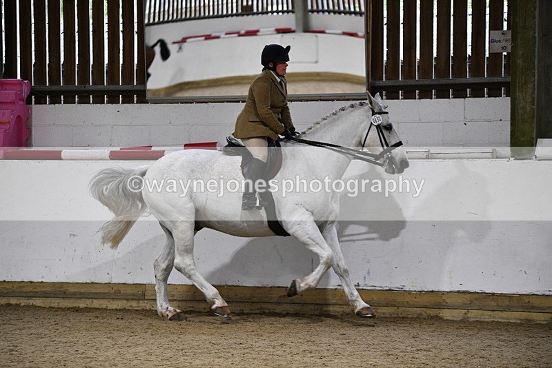 WJ5_8835 - Class 15 Ridden Show Horse