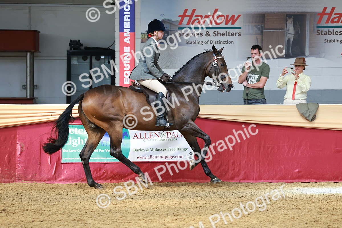 SBM_14965 - Class 108 - Ridden Retired Racehorse