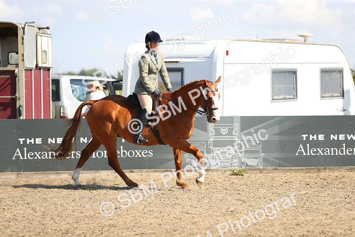 SBM_02368 - Class 43 Ridden Competition Horse/Pony