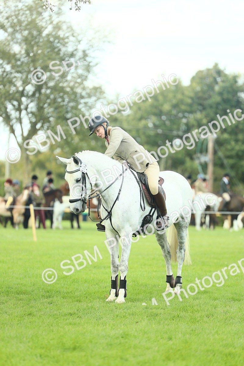 SBM_47971 - S32 - Novice & Newcomers Working Hunter