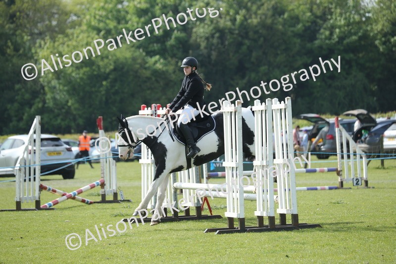 20260426-1470 - Class 14 - Novice 60cm