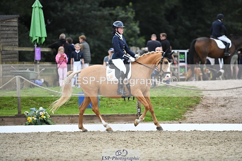 230812-124134-04189 - Cls 6 Novice Silver 12.10 to End