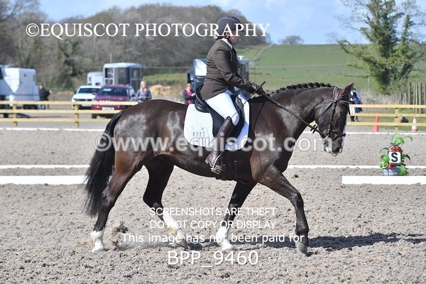 BPP_9460 - NOVICE 6