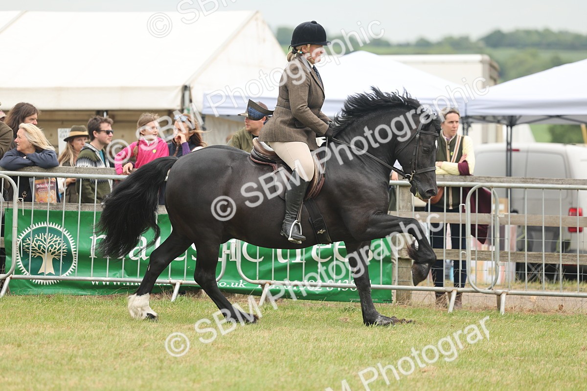 SBM_07191 - Class 76-77 - Ridden M&M Welsh Ponies