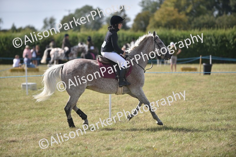 20260906-2710 - Class 13 - Working Hunter Horse or Pony