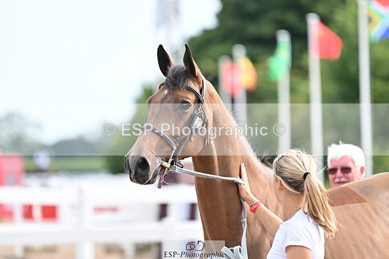 240717A-165609-03552 - Trot Up 4pm to 5pm