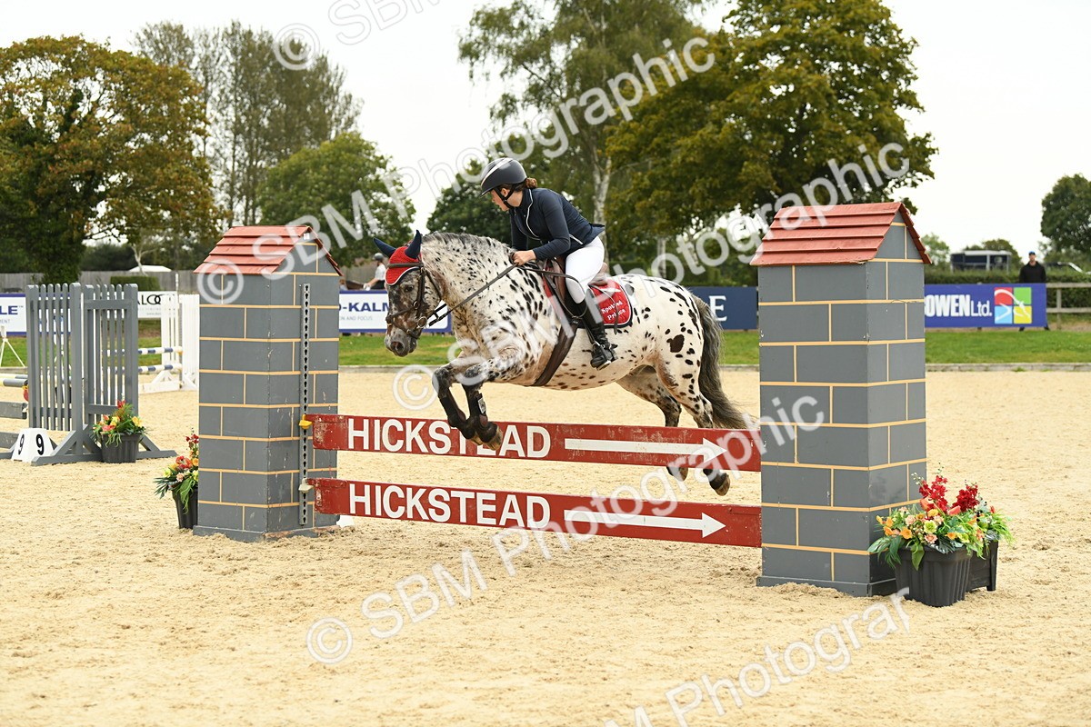 SBM_73100 - J16 - Junior Pony 75cm Championship