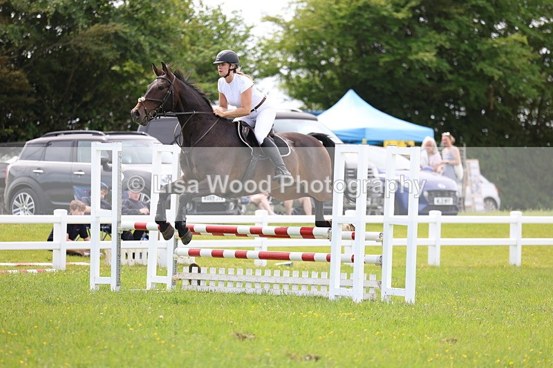 3E7A1478 - Class 13: Senior British Novice/90cm open