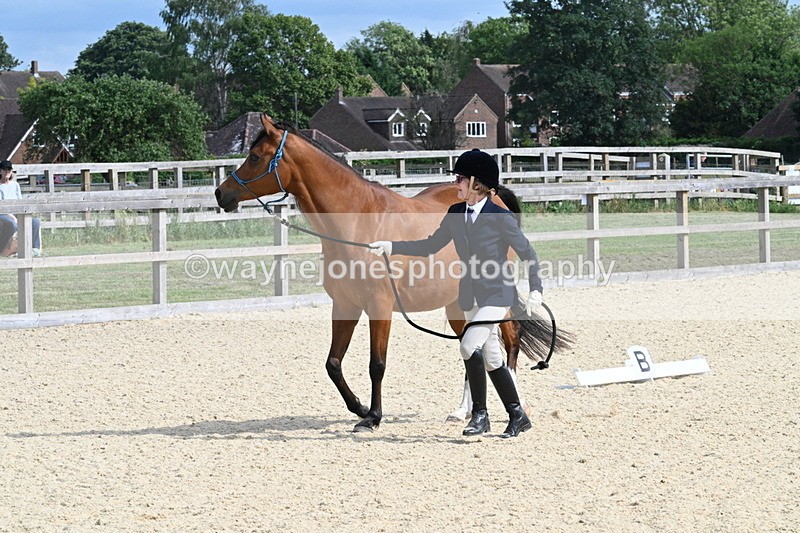 WJ7_8257 - Time 16:10 to 16:25